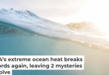 The global ocean’s surface temperature was still well above average going into 2025. Meaghan Skinner Photography/Moment via Getty Images